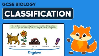 Classification of Living Organisms  GCSE Biology [upl. by Einnahpets]