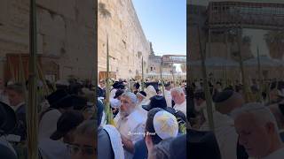 Jewish prayer at the Western Wall in Jerusalem in Sukkot Israel 2024 [upl. by Engelbert]