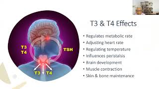 NCLEX REVIEW THYROID GLAND DISORDERS [upl. by Ylelhsa]