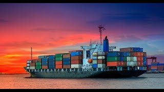 Using Customs Special Procedures to Simplify Trade with Barbara Scott Customs Associates [upl. by Fredia]