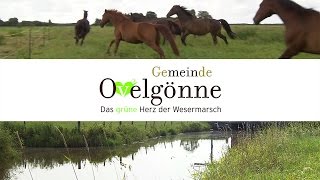 Gemeinde Ovelgönne [upl. by Secunda]