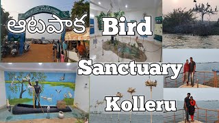 Atapaka Bird Sanctuary  Pelican Peradise KolleruAndhra pradhesh Bird Sanctuary AP Tourism [upl. by Etnoid350]