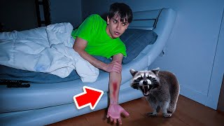 A Vicious Raccoon ATTACKED Me In The Middle Of The Night [upl. by Flavian855]