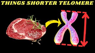 Which Things Shorter Telomere Length [upl. by Nohsyar]