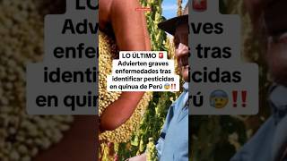 Advierten graves ENFERMEDADES al identificar pesticidas en QUINUA del PERÚ shorts lr [upl. by Oisacin742]