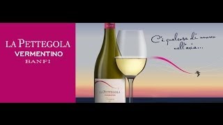 La Pettegola Vermentino Banfi [upl. by Eeraj]