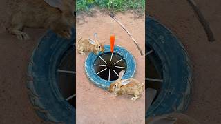 Survival Skills Simple But Very Useful with rabbit deep hole trap shorts survival outdoors [upl. by Enellij235]