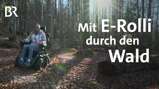 Barrierefrei durch den Nationalpark Den Wald erkunden per ERolli  Schwaben amp Altbayern  BR [upl. by Ivetts]