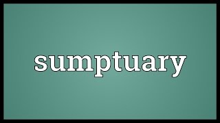 Sumptuary Meaning [upl. by Adalheid]