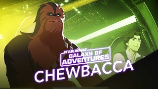 Chewbacca  The Trusty CoPilot  Star Wars Galaxy of Adventures [upl. by Bissell236]