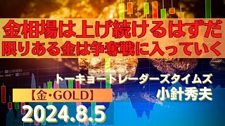 金相場は上げ続けるはずだ限りある金は争奪戦に入っていく【金】2485商品先物投資情報GoldTVnet [upl. by Aslin]