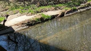 Walking Along The Kinnickinnic River [upl. by Linnet]