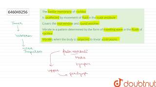 The basilar membrane of cochlea  12  SENSE ORGANS  BIOLOGY  DINESH PUBLICATION ENGLISH  D [upl. by Dnarb]