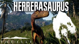 Herrerasaurus Gameplay The Isles New Dinosaurs Update [upl. by Lucina346]