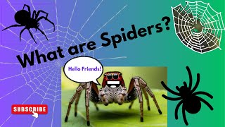 Fun Facts about Spiders for Kids🕷 Learn about the not to so creepy crawling spiders [upl. by Genvieve126]