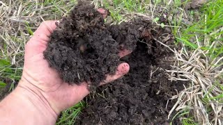 Regenerative Agriculture How We Improve Soil Quickly without Costly Equipment [upl. by Jaime]