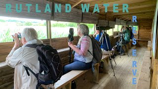 Visit Rutland Water Reserve  Bird Watching in UK  Birding in United Kingdom [upl. by Esinev]