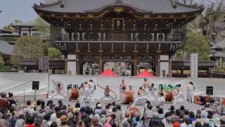 4K・ 【4K】Narita Taiko festival 2017  1 [upl. by Carrick610]