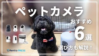 【最新】ペットカメラのおすすめ6選！失敗しない選び方も紹介 [upl. by Dawes]