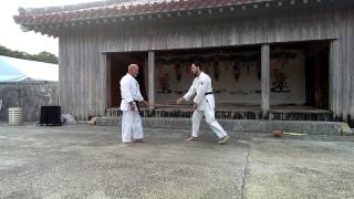 Shinjo Sensei demonstration [upl. by Brand965]