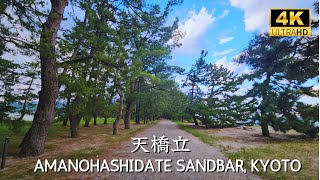 KYOTO  Amanohashidate Sandbar a relaxing walk surrounded by pine tree ine 海の京都 天橋立 [upl. by Theobald]