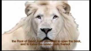 Prince Obasiike  Lion of Judah Official Video [upl. by Seibold475]