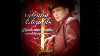 Valentin Elizalde  Esta Cobardia con acordeón tuba y guitarra [upl. by Emmeline]