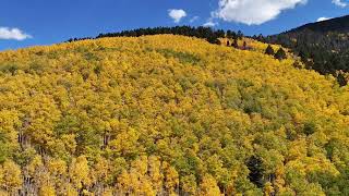 SANTA FE NEW MEXICO  FALL LEAVES [upl. by Hueston]