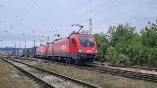 Rail Cargo Carrier с локомотиви 1116 1061116 035 и 1116 032 [upl. by Anwahsal68]