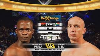 EFC 19 Pena vs Nel One of the best comeback in EFC history [upl. by Lorenzana713]