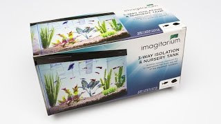 Imagitarium 3Way Isolation amp Nursery Tank Review [upl. by Ambrose]