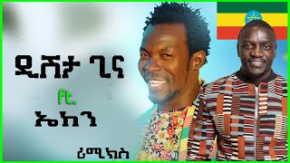 ዲሽታግና  Dishta Gina Remix With Akon Music Tariku Gankisi  Dishtagina ft Akon Ethiopian Music [upl. by Elleivap668]