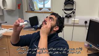 How to administer eye drops Urdu [upl. by Alomeda]