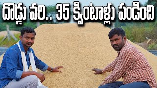 దొడ్డు రకం వరి 35 క్వింటాళ్లు పండింది  X6 Plus Paddy [upl. by Hoeg]