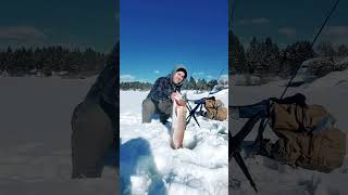 HUGE FISH FIRST TIME ICE FISHING fishing shorts outdoors [upl. by Ellekcim]