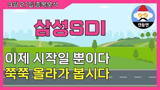 삼성SDI  이제 시작일 뿐이다 ㅣ 쭉쭉 올라가 봅시다 [upl. by Leon]