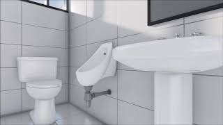 El baño perfecto para tu casa Serie de capacitación para Propietarios vídeo 0206 [upl. by Rohclem317]