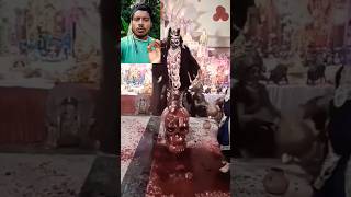 Jay Maa Kali  Kali Mata Dharti per fir se prakat ho gai 🔱🕉️ shorts MaaKali [upl. by Leler375]