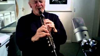 Burgundy Street Blues Jazz Improvisation on Clarinet [upl. by Alyakcim]