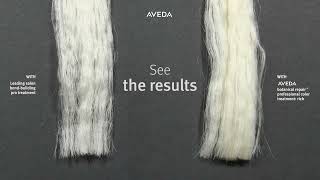 An Extreme Test Aveda vs a Leading Salon BondBuilding Pro Treatment [upl. by Leahcam537]