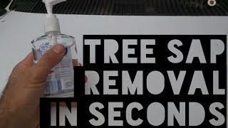 The EASY secret to remove TREE SAP from your car [upl. by Jos379]