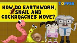 Movement of Earthworm Snail and Cockroaches  Class 6th Biology [upl. by Llerref455]