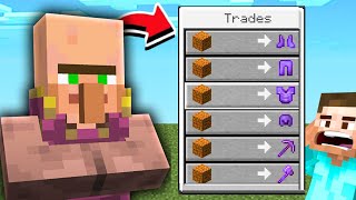 Minecraft But Villagers Trade OP Items [upl. by Esli]