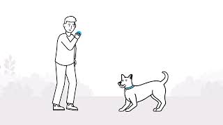 Understanding your dogs body language  The Battersea Way [upl. by Madigan]