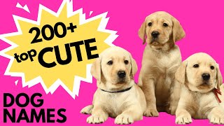 Top 200 CUTE Dog Names  New Puppy Names  Super Cute [upl. by Odnumde640]