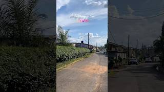 Living alone diaries in Nigeria✨ livingalonediaries livingalone adayinmylife asmr nigeria [upl. by Asiral]