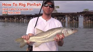 How to Rig a Pinfish for Catching Snook Tarpon Redfish and Grouper [upl. by Nahshon]