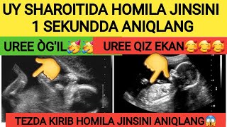 UY SHAROITIDA HOMILA JINSINI 1 SEKUNDDA ANIQLANG HOMILA JINSINI ANIQLASH USULLARI HAQIDA MALUMOT [upl. by Dnalyar]