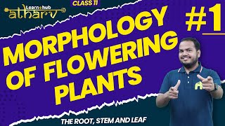 Morphology of Flowering Plants Class 11 Biology NCERT Chapter 5 1  Root Stem Leaf  Atharv Batch [upl. by Nelak]