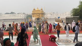 Asi Gae Amritsar Golden Temple 🙏🏻 Shri Harmandir sahib  Darbar sahib Amritsar [upl. by Furey]